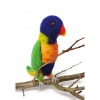 Picture of Rainbow Lorikeet Needle Felting Kit