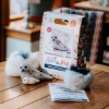 Picture of Seal & Pup Needle Felting Kit