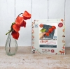 Picture of Felt Chinese Lanterns Flower Sewing Kit