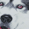 Picture of Alaskan Malamute Dog Face - 30x30cm Crystal Art Cushion Kit