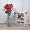 Picture of Felt Roses Sewing Kit