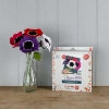 Picture of Felt Anemones Flowers Sewing Kit