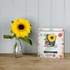 Picture of Felt Sunflower Sewing Kit