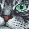 Picture of Grey Cat Face - 30x30cm Crystal Art Cushion Kit