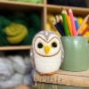 Picture of Baby Owl Needle Felting Kit