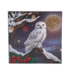 Picture of Frosted Moon Owl - 18x18cm Crystal Art Card