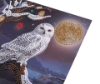 Picture of Frosted Moon Owl - 18x18cm Crystal Art Card