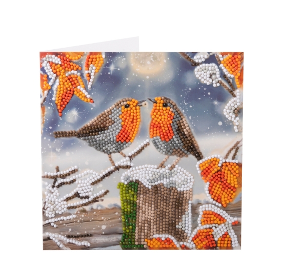 Picture of Kissing Robins - 18x18cm Crystal Art Card