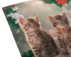 Picture of Christmas Kittens - 18x18cm Crystal Art Card