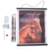 Picture of Chestnut Mares Horses - Crystal Art 35x45cm Scroll Kit